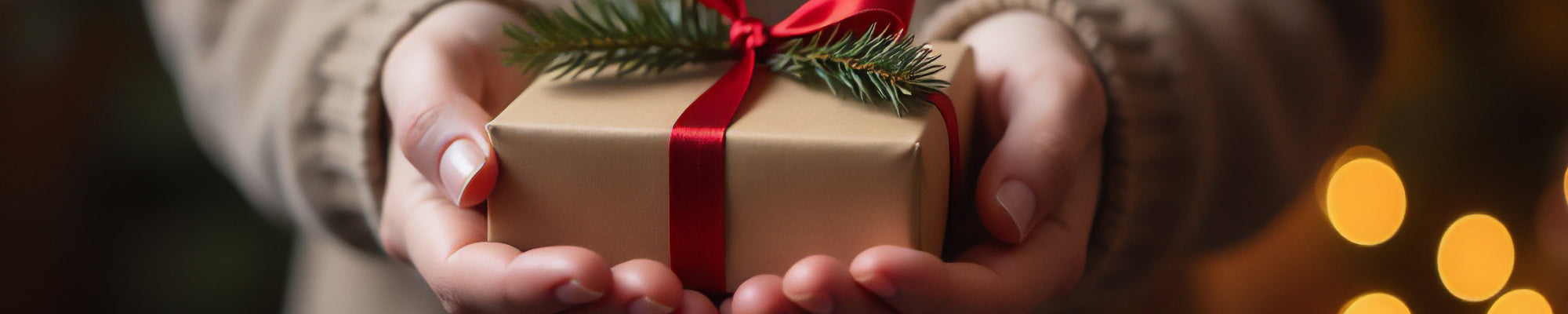 Wrapped gift in hand