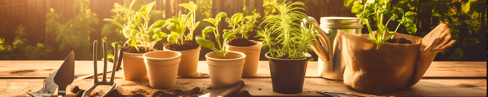 How to Prepare Your Garden for Spring: 5 Early Spring Garden Planning Tips