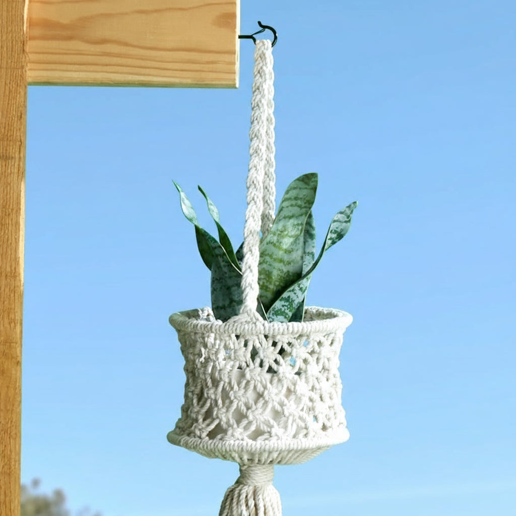 Outdoor Screw-In Q-Hanger Hooks for String Lights and Hanging Baskets