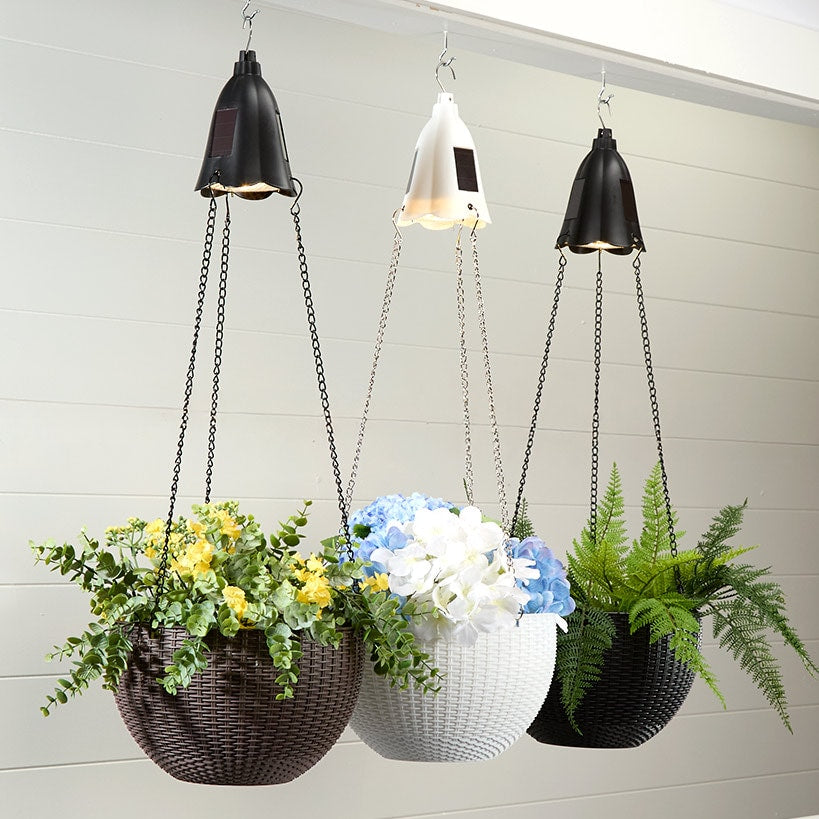 hanging planter lights LTD Commodities Solar Lighted Hanging Basket Planter