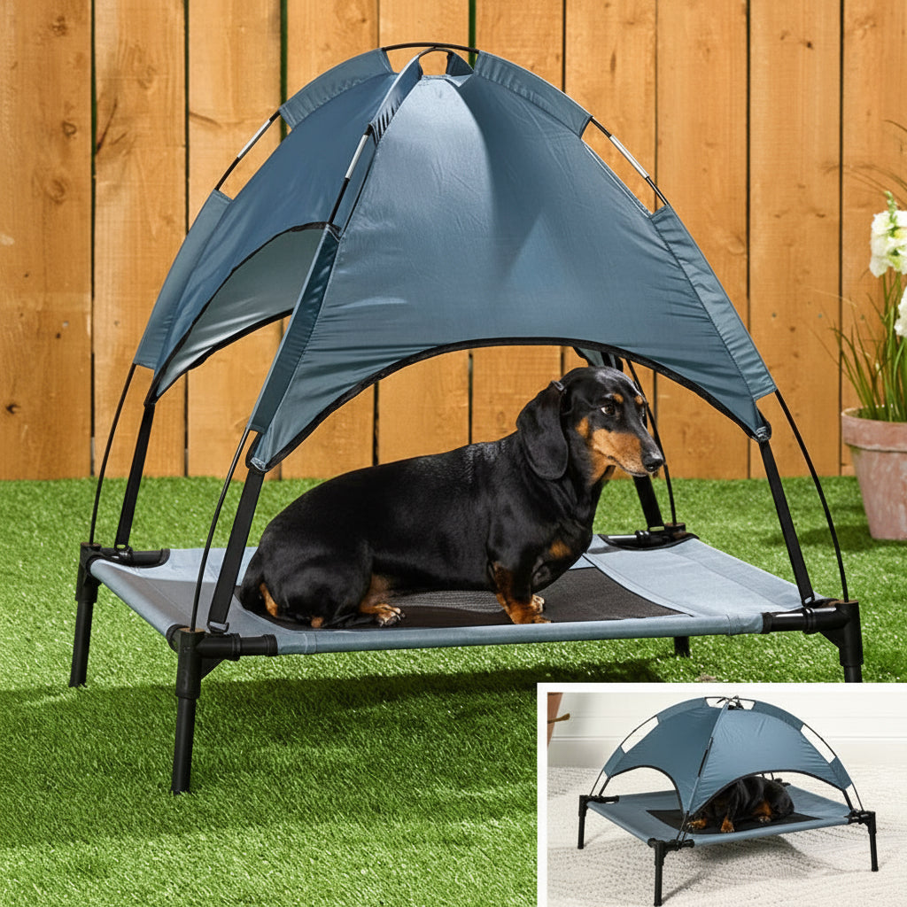 Elevated Pet Bed with Canopy