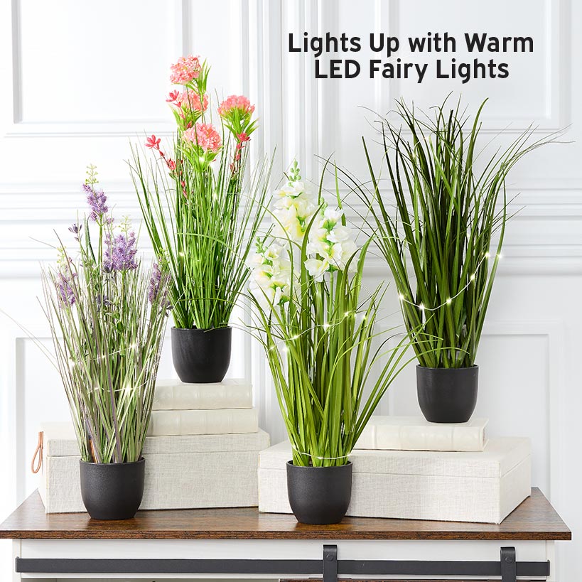 Lighted Flower Indoor Potted Plant