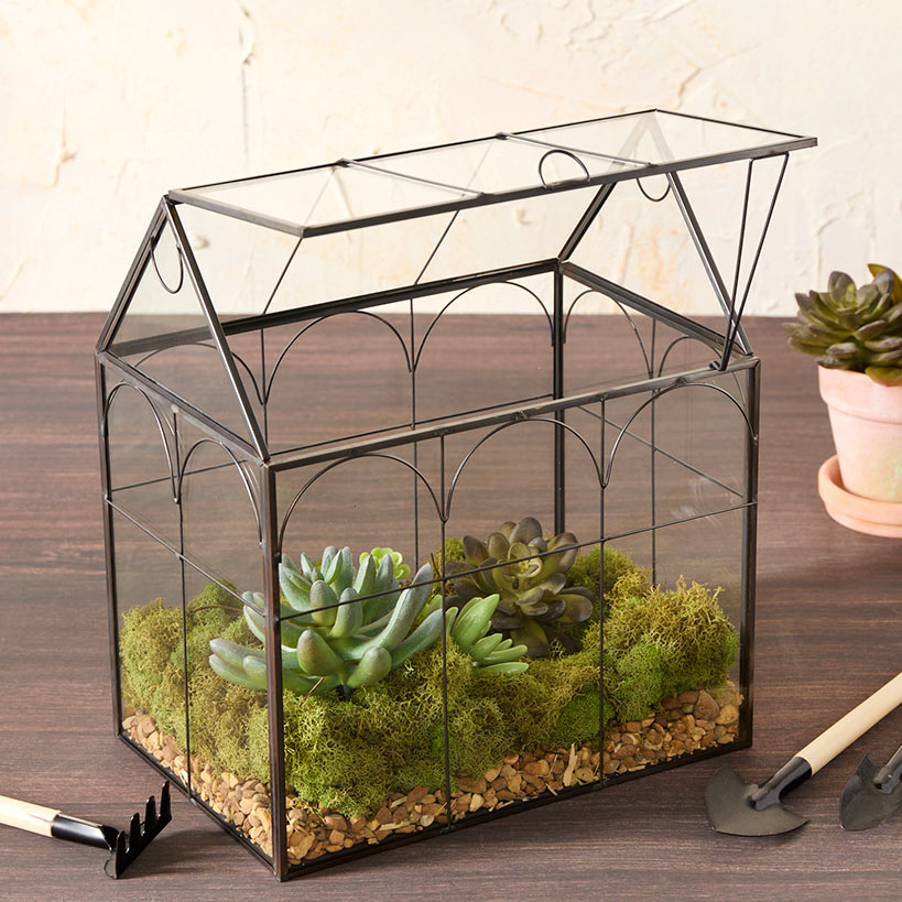indoor plant glass house Lakeside Glass And Metal Garden Terrarium