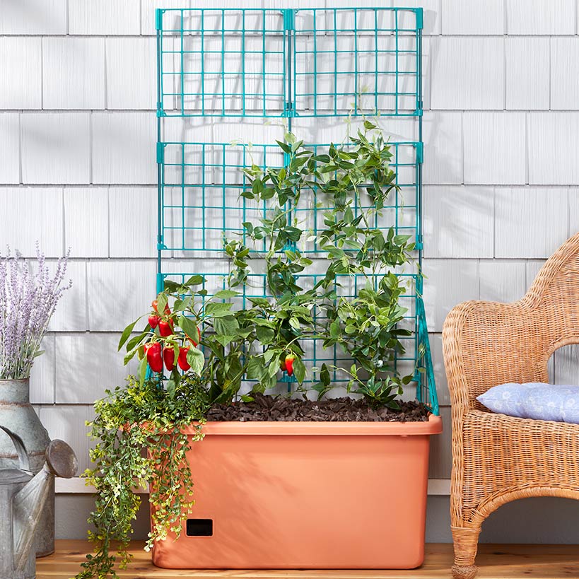 balcony trellis planter Lakeside Vegetable Planter With Wheels And Trellis-58 Inch Self Watering