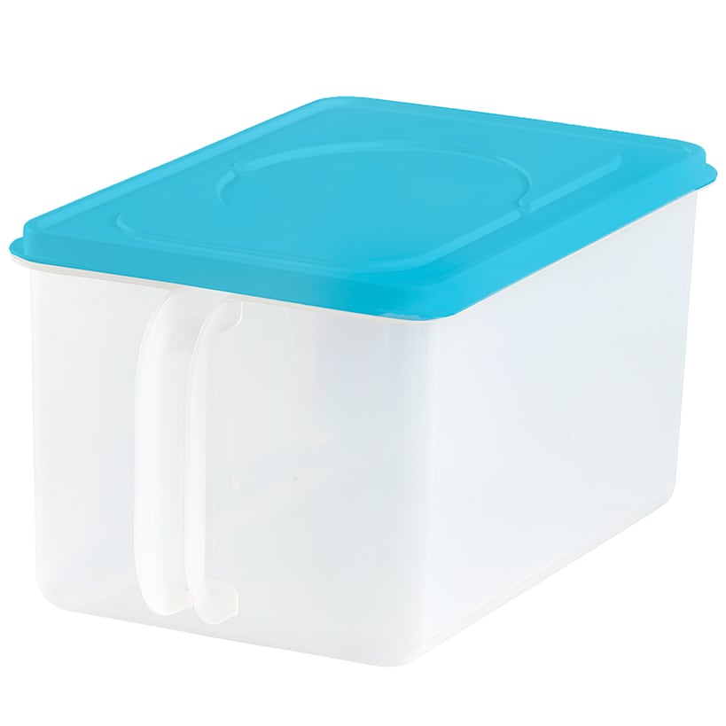 Clear Food Storage Container with Handle