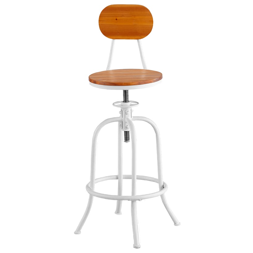 Adjustable Swivel Stool with Back