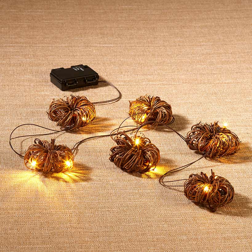 Lighted Pumpkin Grapevine Collection#select-item_pumpkin-string-lights
