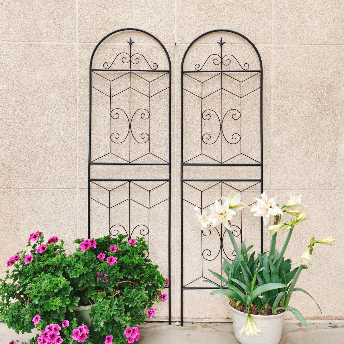 2 Pack Metal Garden Trellis 71" x 19.7" Rustproof Trellis for Climbing Plants Outdoor Flower Support Black - image 7