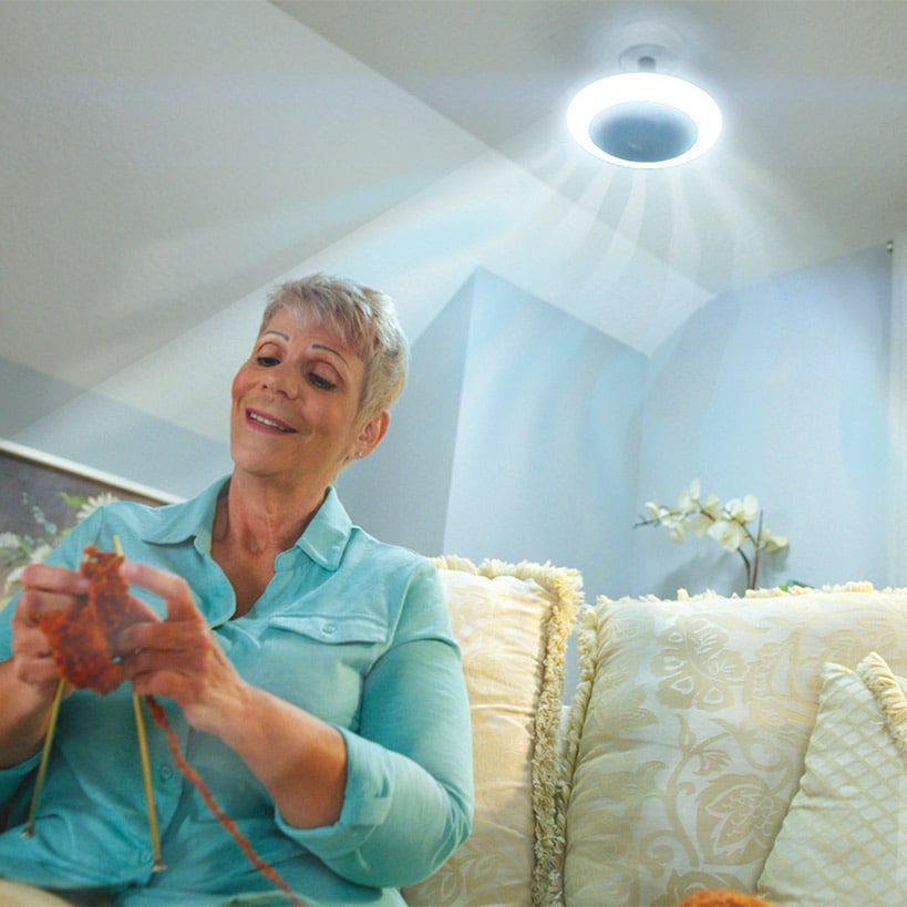 Breeze Brite Fan with LED Light