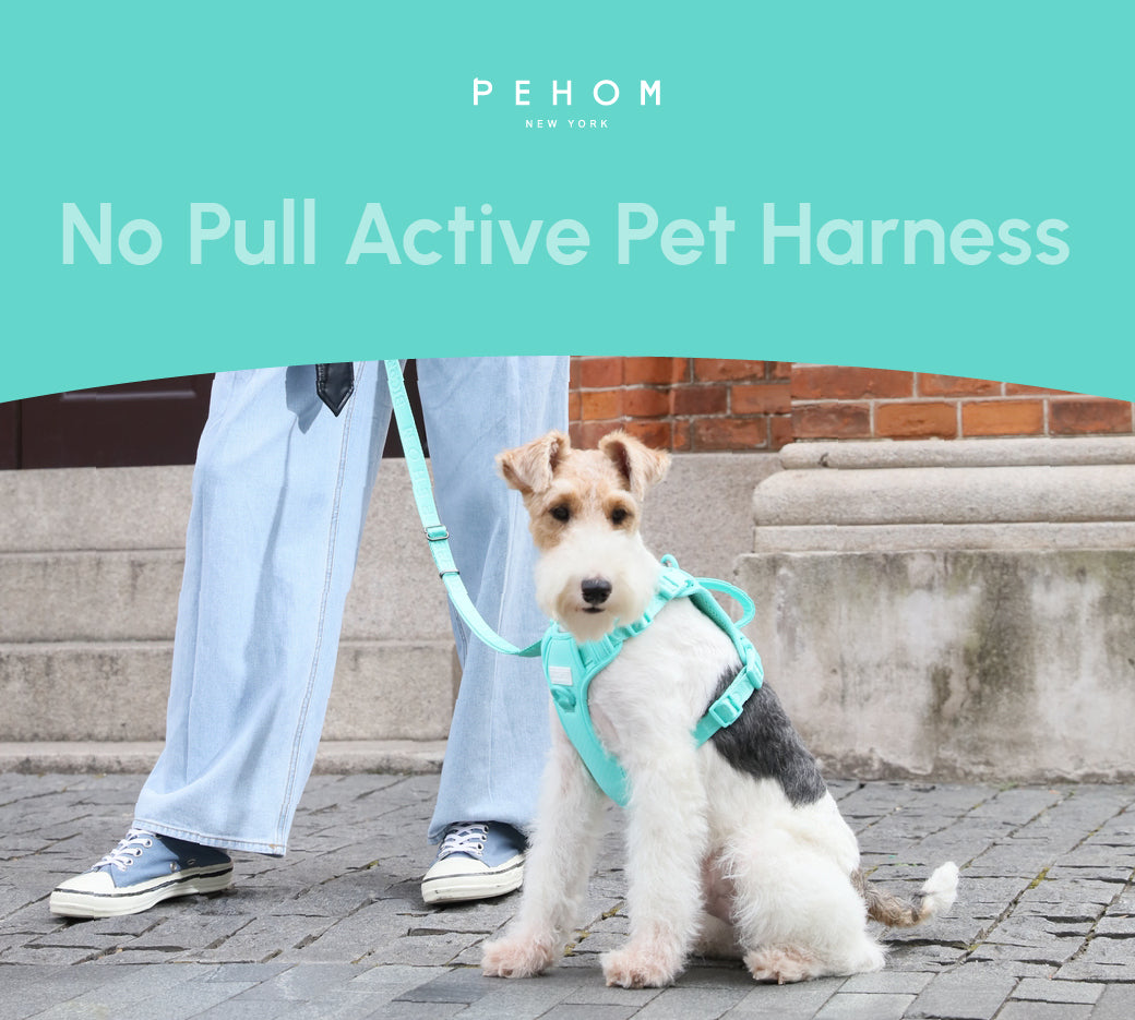 NO PULL ACTIVE PET HARNESS - MINT GREEN
