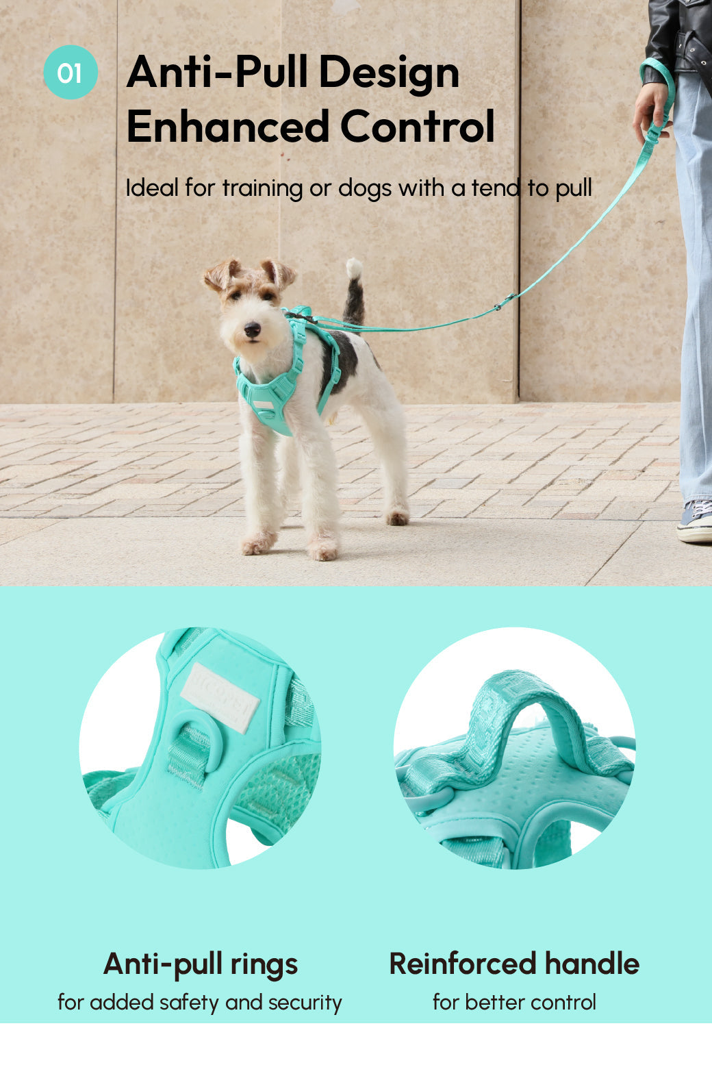 NO PULL ACTIVE PET HARNESS - MINT GREEN