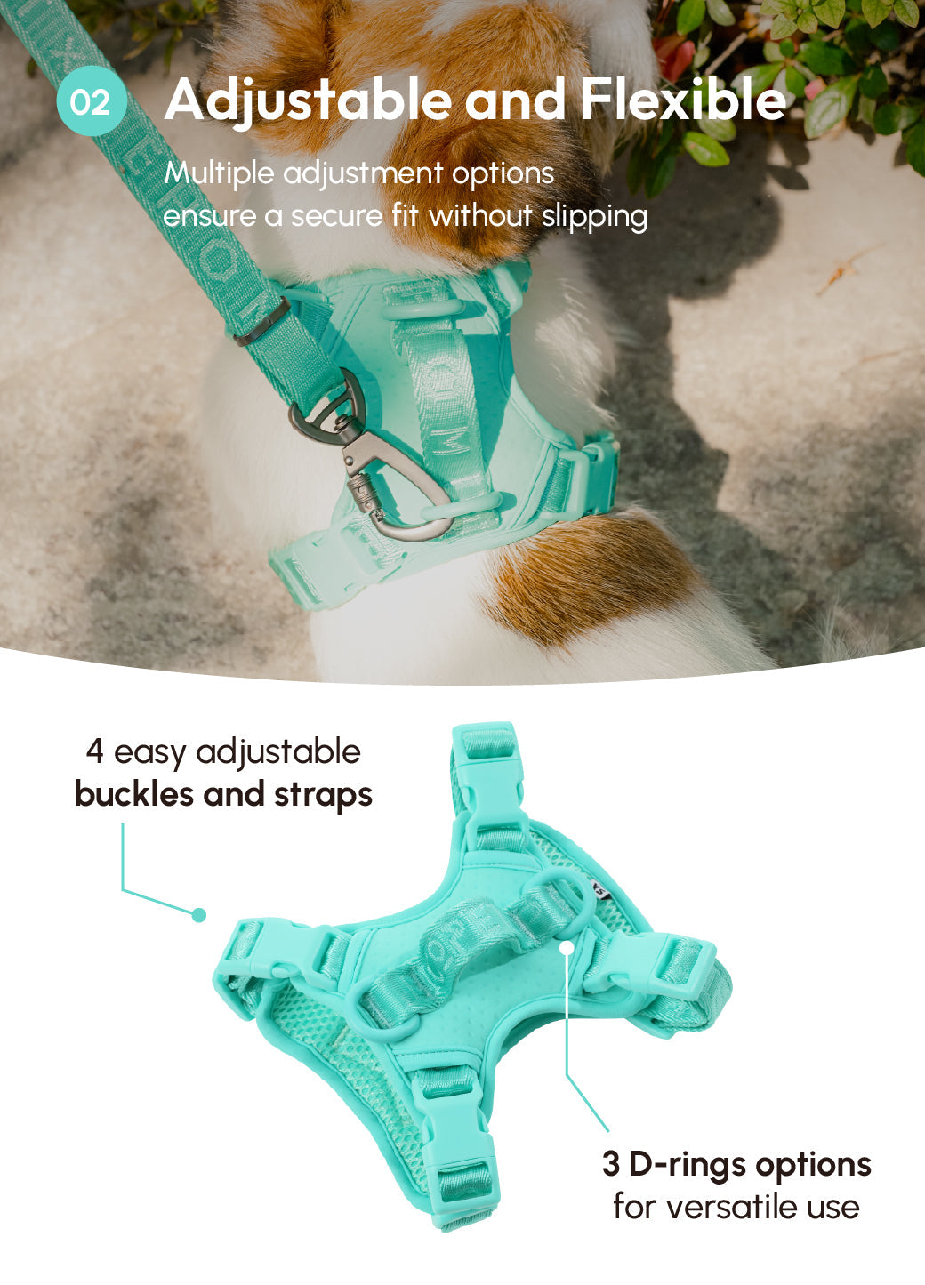NO PULL ACTIVE PET HARNESS - MINT GREEN
