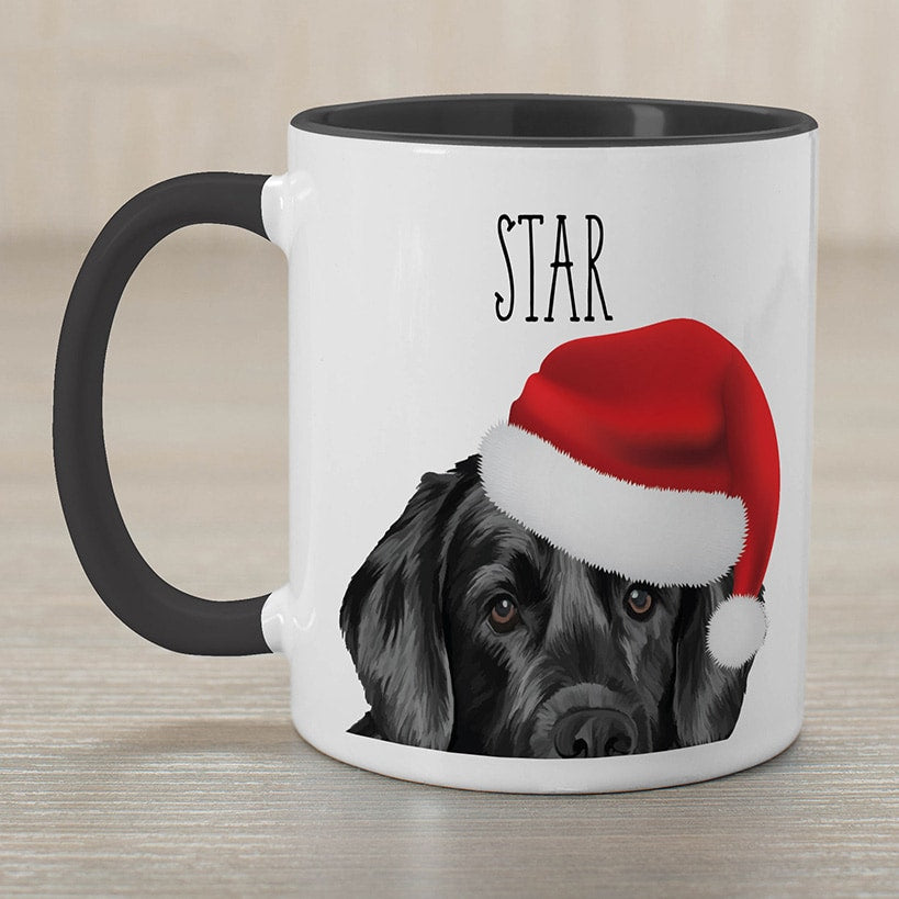 Personalized Christmas Pet Mug