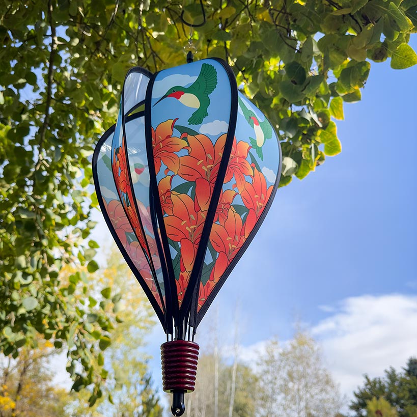 Hot Air Balloon