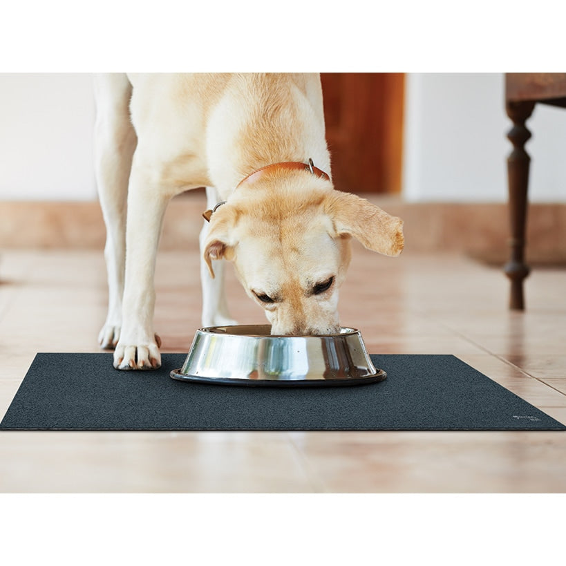 Dry Mat With Hydro Antimicrobial Surface 19"x15" Stain Resistant