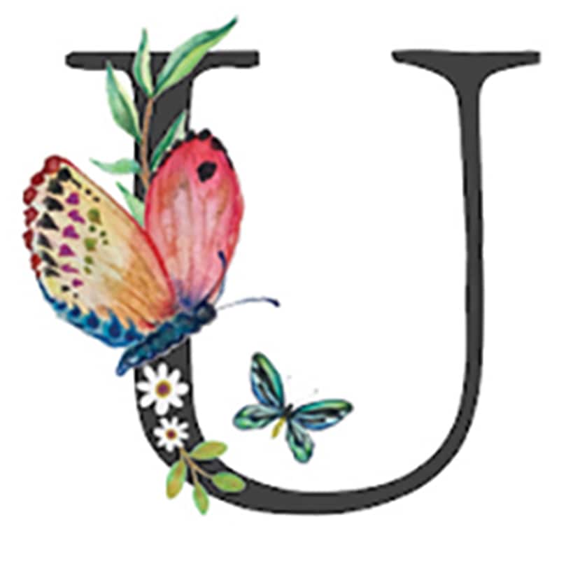 Initial Floral Butterfly Jewelry Cases