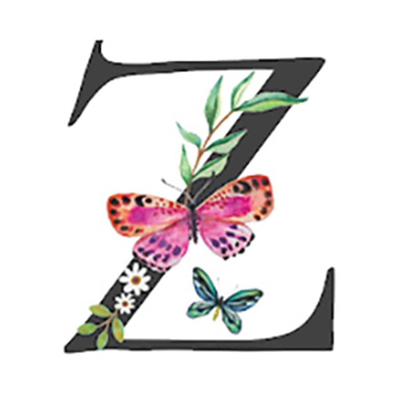 Initial Floral Butterfly Jewelry Cases