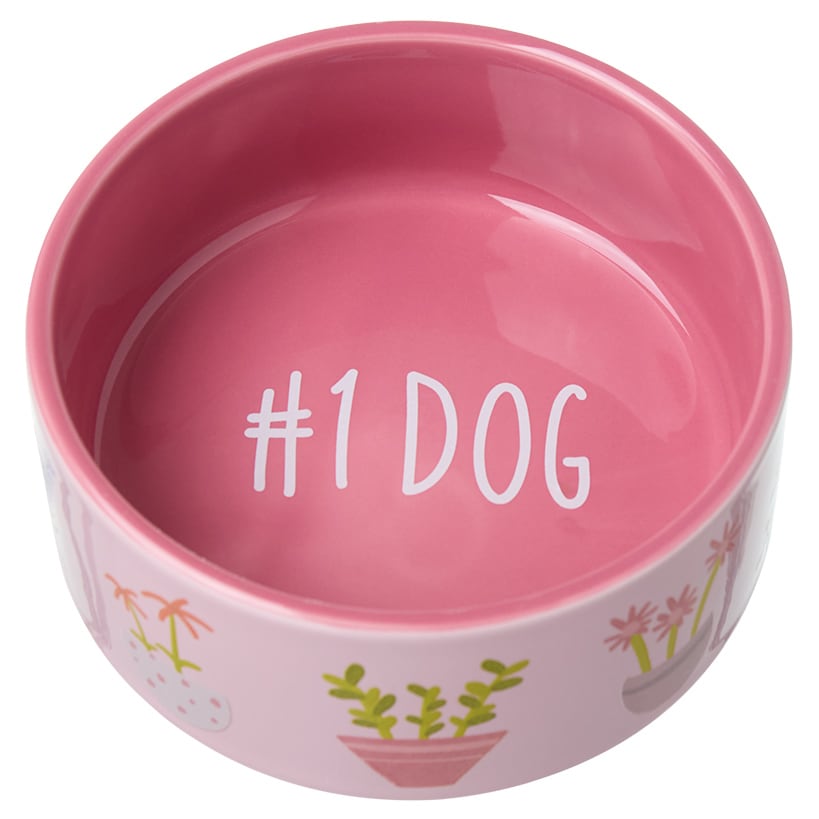 Pet Lover Dog Bowl and Coffee Mug Matching Gift Set