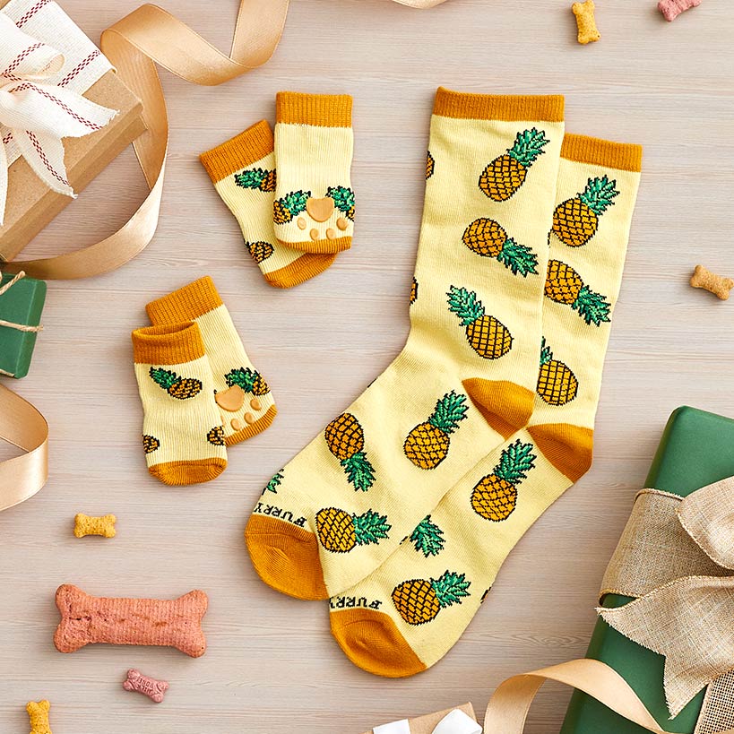 Pet and Owner Socks