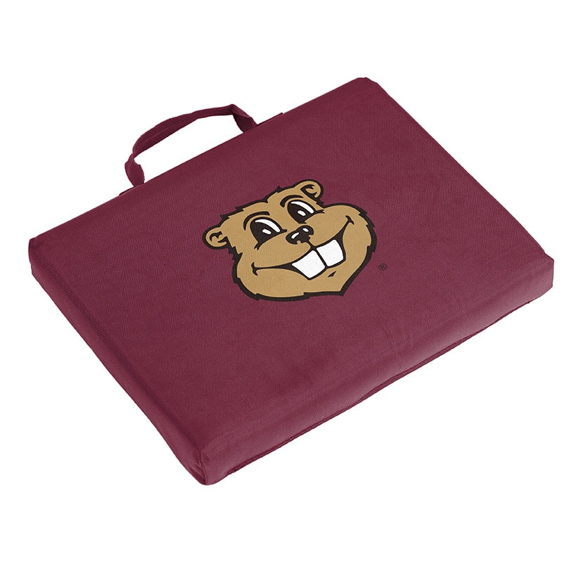 NCAA Bleacher Cushion