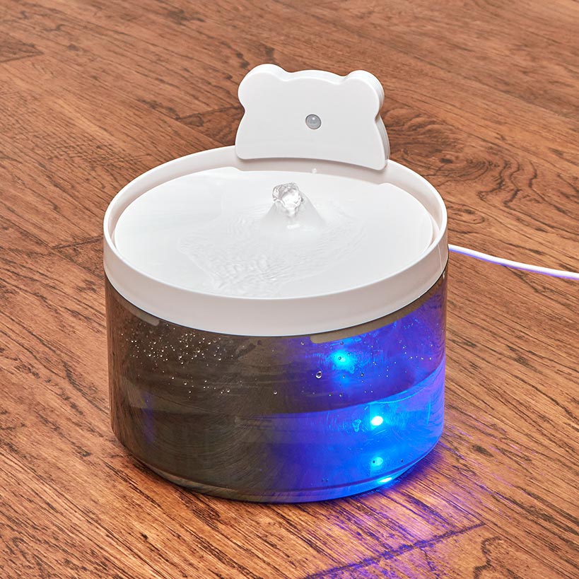 Pet Water Fountain