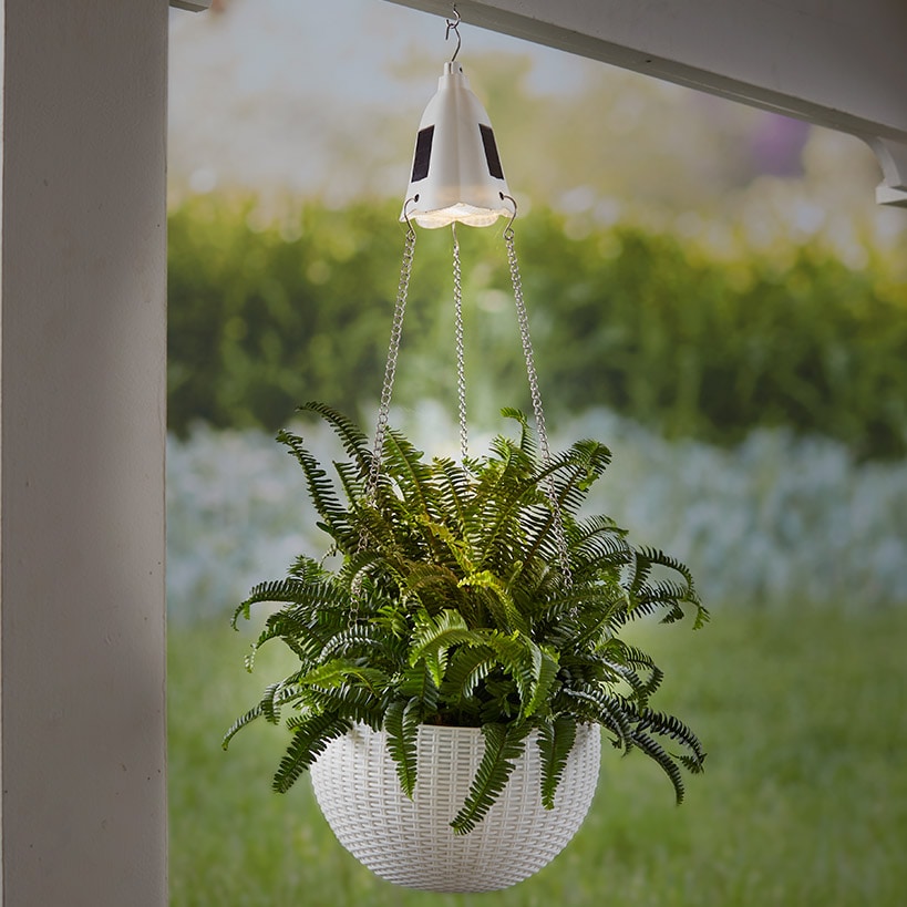 Hanging Basket Planter with Solar Light