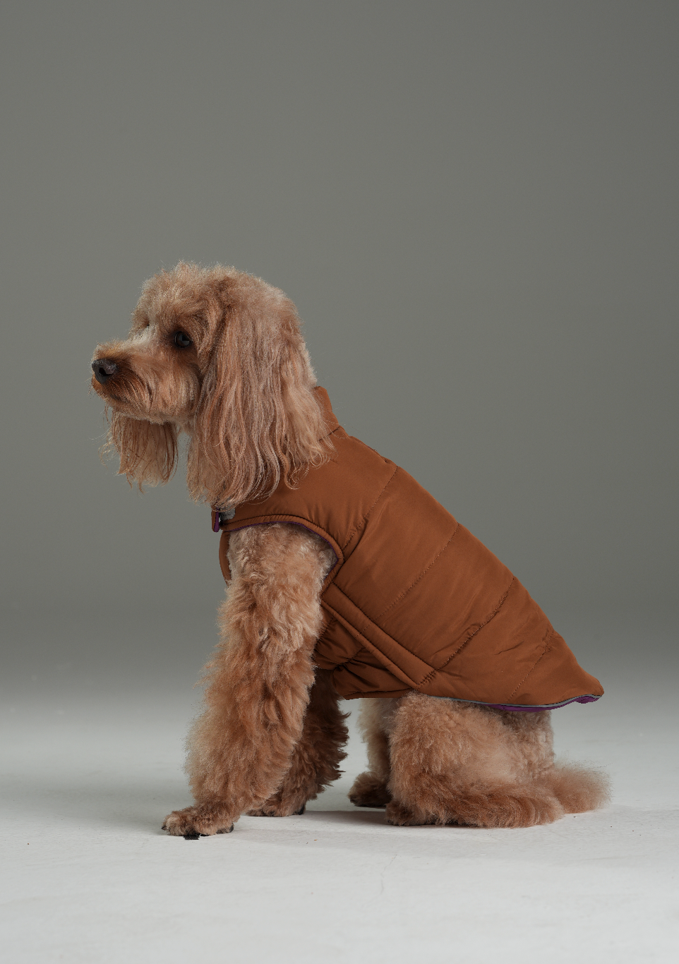 Reversible Dog Vest Jacket - Purple Caramel
