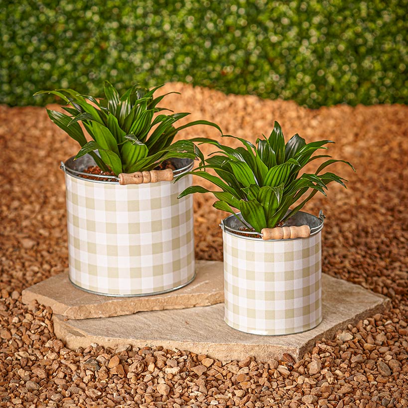 Sets of 2 Buffalo Check Planters