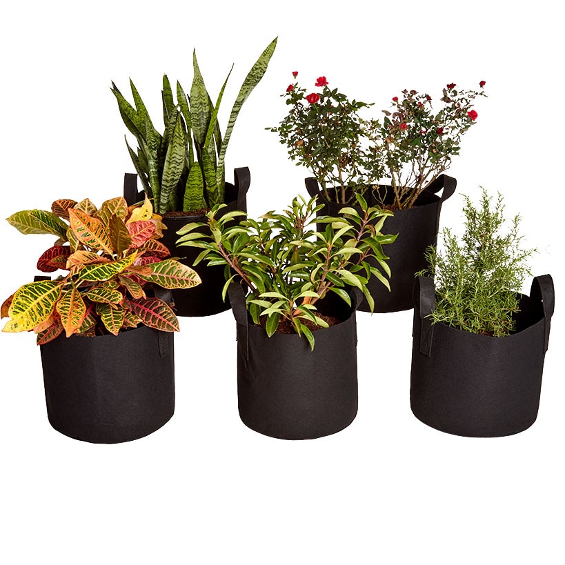 7 Gallon Grow Bags Set Of 5 With Built In Handles