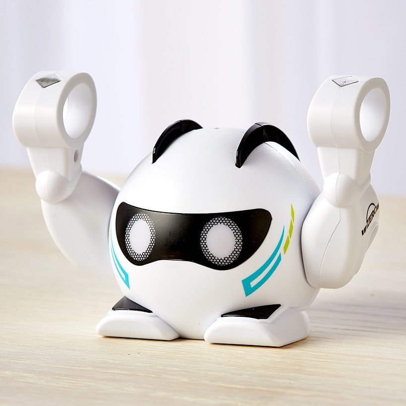 Smart Rolling Robot