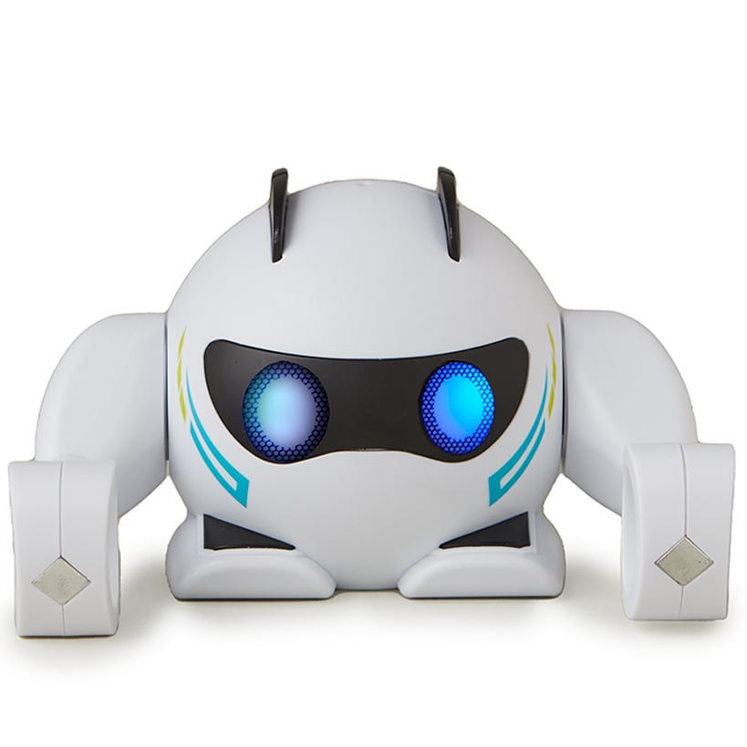 Smart Rolling Robot