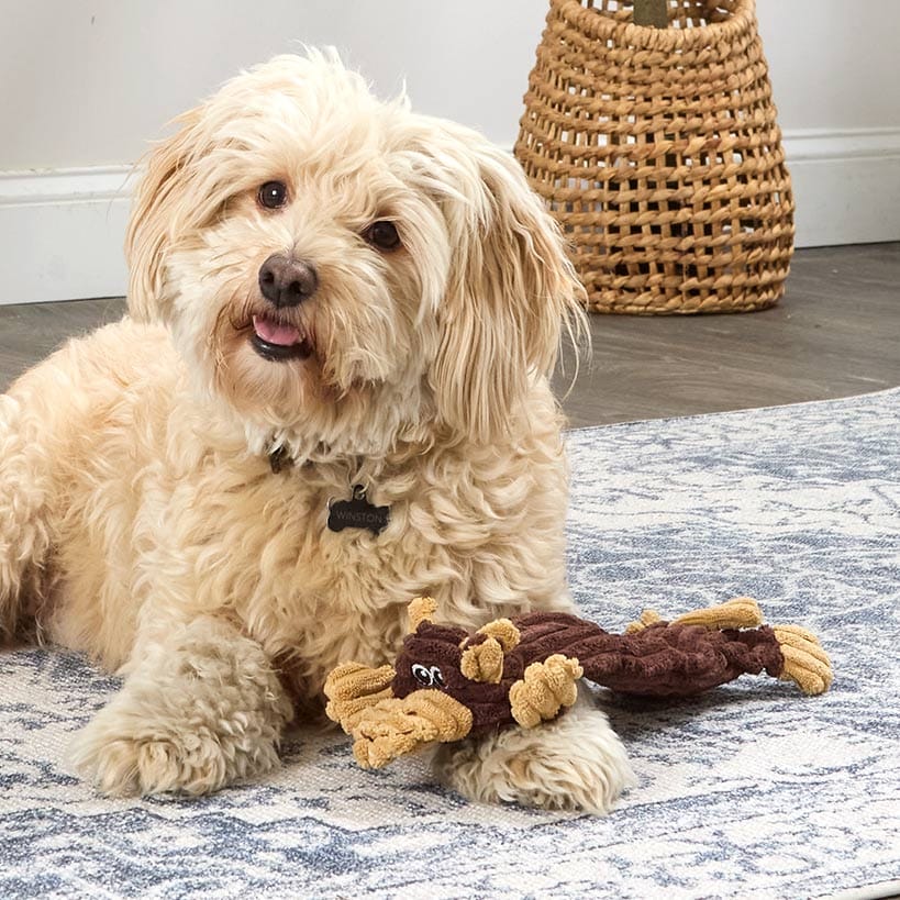 Stuffing-Free Soft Plush Corduroy Dog Chew Toy Pig Cow Or Dog Shaped