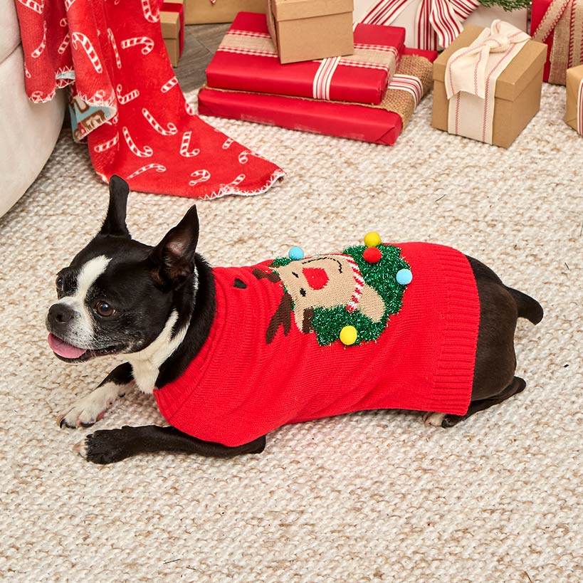 Ugly Christmas Dog Sweater