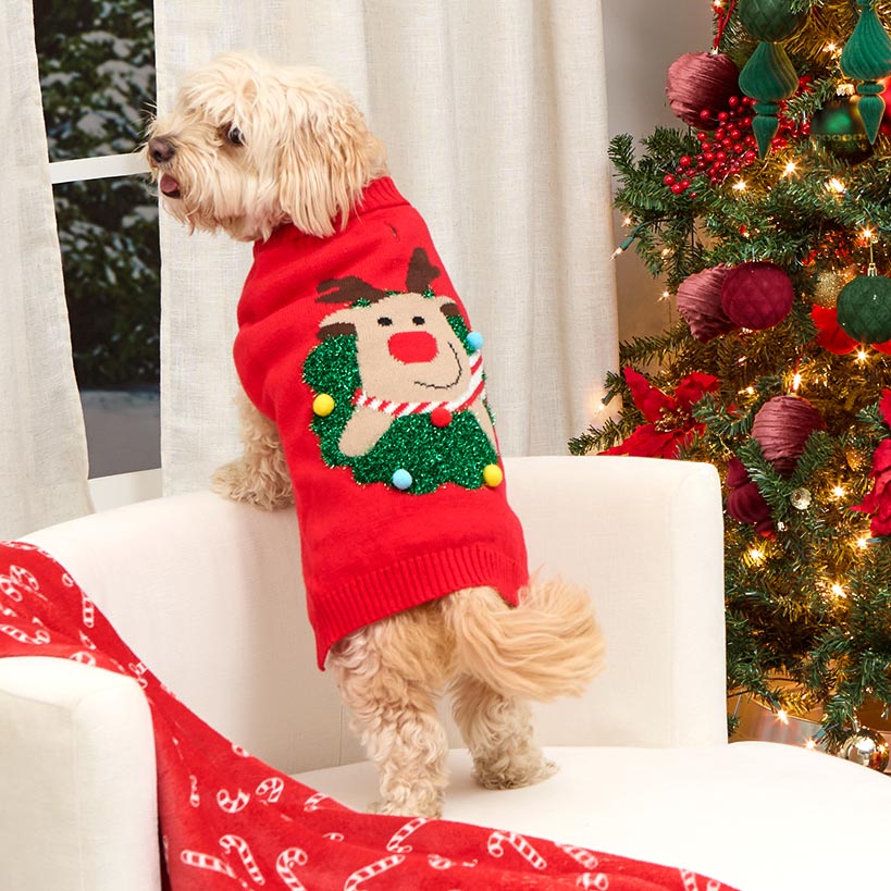 Ugly Christmas Dog Sweater