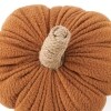 Sherpa Pumpkin-Shaped or Embroidered Harvest Accent Pillows - Large
