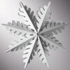 Frosted Paper Snowflakes - B
