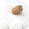 Sherpa Pumpkin-Shaped or Embroidered Harvest Accent Pillows - Medium