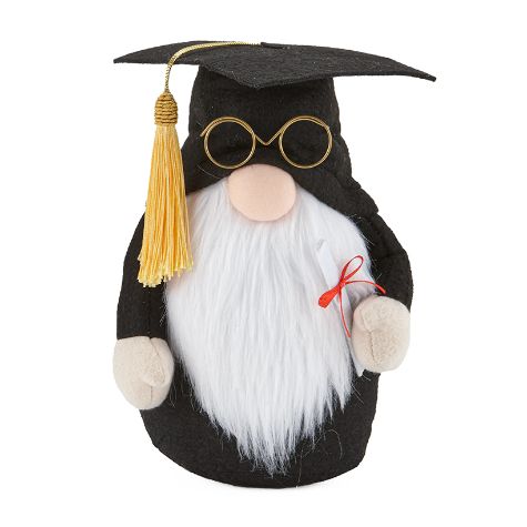 Graduation Gnomes, Banners or Tassel Frame - Boy Gnome