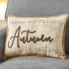 Sherpa Pumpkin-Shaped or Embroidered Harvest Accent Pillows