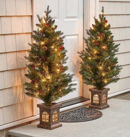 Set of 2 Lighted Porch Trees