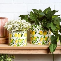 Lemon Ceramic Planter