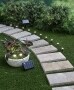 Solar LED Plant Lights