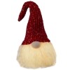 Lighted Christmas Gnome Accents