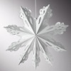 Frosted Paper Snowflakes