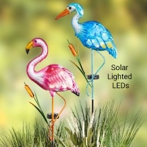Solar Birds Garden Stakes