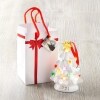 Commemorative Lighted Holiday Ornaments