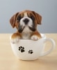 Teacup Pups - Boxer