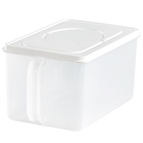 Clear Storage Container with Handle