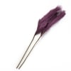 Natural Hays and Grasses Home Accents - Purple Set of 2 Picks