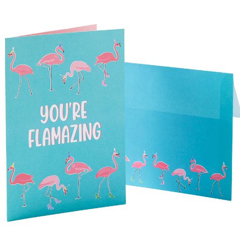 48-Pc Humorous Occasion Card Set